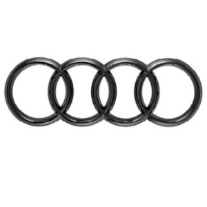 Audi E-Tron Zwart Logo Voor